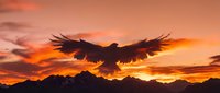 Majestic eagle soaring with outstretched wings against dramatic orange sunset sky over mountain silhouettes. Powerful bird of prey in flight during golden hour.