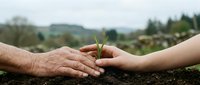 Adult and child hands planting green seedling together in soil with rural landscape background, symbolizing environmental care, sustainability, and generational knowledge sharing.