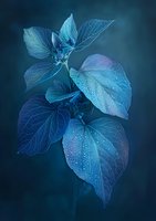 Luminescent blue leaves with morning dew drops against dark background create ethereal botanical art. Delicate veins and water droplets add magical atmosphere.