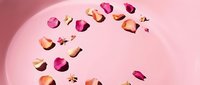 Colorful rose petals scattered on soft pink surface creating romantic feminine flatlay composition for beauty cosmetics wedding valentines day designs.