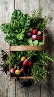 Fresh organic vegetables and herbs in rustic wooden crate on weathered wood background. Kale, radishes, rosemary and seasonal produce for healthy cooking.