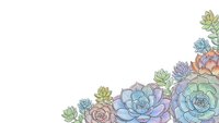 Colorful succulent plants corner border arrangement on white background for botanical design projects and natural decoration elements.