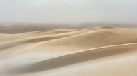 Endless golden sand dunes stretch across desert landscape with soft shadows and gentle curves creating serene minimalist natural environment.