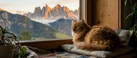 Tabby cat resting on windowsill with mountain landscape view, relaxed pet in cozy home interior setting.