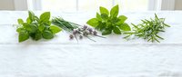 Fresh culinary herbs basil rosemary chives arranged on white marble surface for cooking seasoning and natural organic food preparation in bright kitchen.
