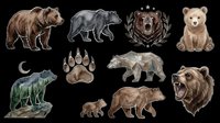 Isolated bear illustrations collection featuring brown, black, and grizzly bears in various poses with paw prints and decorative elements. Transparent background, ready for t-shirts, clipart, stickers, and print-on-demand designs.