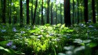 Sunlit forest floor with delicate purple wildflowers blooming among lush green foliage, creating magical woodland atmosphere in spring morning light. Natural backdrop.