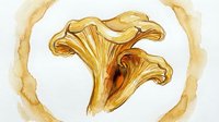 Golden chanterelle mushrooms watercolor illustration with organic flowing forms and warm amber tones for culinary and botanical design projects.