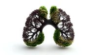 Lungs shaped by tree branches with green moss, symbolizing environmental health and nature connection. Medical concept on white background, isolated design element.