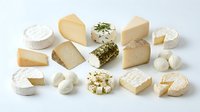 Assorted cheese varieties including soft, hard, and aged types with herbs displayed on white background for culinary and food styling projects.