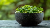 Fresh green cilantro leaves in black stone bowl on dark concrete surface against blurred natural background, food photography for cooking blogs.
