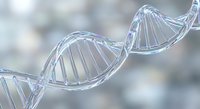 Transparent DNA double helix structure with detailed molecular bonds on blurred background for genetic research and biotechnology applications.