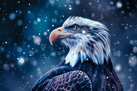 Majestic bald eagle head close-up against dark blue winter background with falling snow and bokeh lights creating dramatic wildlife atmosphere.