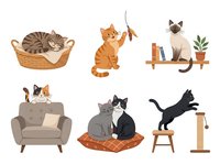 Cute cats in various poses and settings, including tabby in basket, orange cat playing with toy, siamese on shelf with plants, calico on armchair, gray and black cats on cushion, and black cat on scratching post. Isolated clipart for design use.