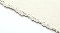 Torn cream paper edge with ragged texture on white background, suitable for design overlays, backgrounds, and creative projects.