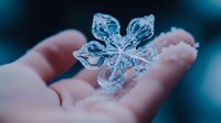 Crystal clear ice snowflake melting in cupped hands against winter blue background. Delicate frozen water formation showcasing nature's intricate patterns.