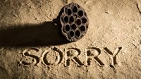 Dried lotus seed pod casting shadow over the word sorry carved in sand, conveying apology, regret, and forgiveness concepts.