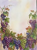 Grapevine border with cascading purple and green grape clusters, curling tendrils, and autumn foliage on soft watercolor background. Suitable for wine labels, invitations, and culinary designs.