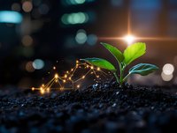 Young green sprout growing from soil with glowing digital network connection, symbolizing sustainable technology and digital transformation in nature.