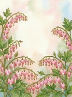 Watercolor bleeding heart flowers with pink blooms and green leaves on a soft pastel background, framing copy space for cards or prints.