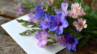 Delicate spring bouquet with purple and pink wildflowers arranged on white envelope against rustic wooden background creates romantic vintage atmosphere.