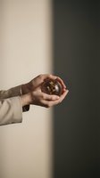 Hands gently holding glass sphere with golden plant inside symbolizing growth protection and environmental care in minimalist setting.