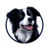 Happy Border Collie dog portrait with black and white fur in round frame, smiling with tongue out. Isolated design element for pet-related projects.