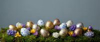 Easter eggs in gold, silver and purple colors with spring flowers arranged on moss against gray background for holiday decorations and seasonal designs.