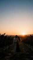 Couple kissing at sunset in vineyard rows with golden sky and mountains in background, romantic outdoor engagement or wedding moment.
