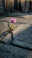 Pink flower growing through crack in urban pavement showing resilience and hope in city environment with brick buildings and metal gates in background.