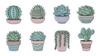 Collection of hand-drawn succulent plants and cacti in decorative pots with geometric patterns, isolated on white background for design projects.