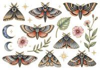 Vintage moth and celestial elements collection with botanical florals, isolated on white background, suitable for textile design, wallpaper, packaging, and decorative applications.