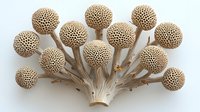Decorative mushroom coral arrangement in beige and cream tones featuring multiple spherical textured heads on branching stems against white background.