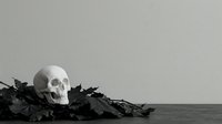 White skull resting on dark dried leaves and branches against neutral gray background, suitable for Halloween, memento mori, gothic, and educational anatomy designs.