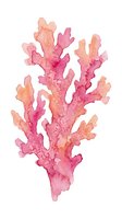 Watercolor coral reef branch in pink and orange tones isolated on white background for marine themed designs and tropical decorations.