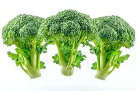 Fresh green broccoli florets with stems isolated on white background, showing detailed texture and natural color. Ready for healthy cooking and food design.