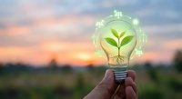Hand holding glowing light bulb with green plant inside surrounded by renewable energy icons at sunset representing eco-friendly innovation and sustainability.