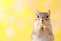 Adorable chipmunk holding yellow flower against bright bokeh background, close-up portrait showing cute facial expression and tiny paws. For nature and wildlife designs.