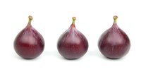 Fresh ripe purple figs arranged in row isolated on white background, whole raw organic fruit with smooth skin and natural texture for healthy eating.