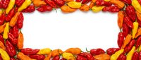 Hot chili peppers in red, orange and yellow tones arranged as a frame border with white space in center for text or product placement.
