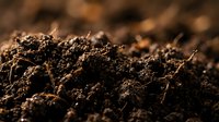 Rich, dark soil texture with visible organic matter and root structures, ideal for agriculture, gardening, environmental, and nature-related projects.