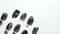 Fingerprints isolated on white background, forensic evidence for criminal investigation, law enforcement, security, and identification purposes.