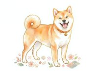 Shiba Inu dog standing with curled tail and happy expression surrounded by decorative flowers on white background, isolated for design use.