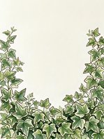 Ivy vines with green variegated leaves frame bottom and sides of cream background, creating natural border for design layouts, invitations, and botanical-themed projects.