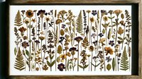 Pressed dried flowers and leaves botanical collection arranged in wooden frame on white background for herbarium display and natural home decor.
