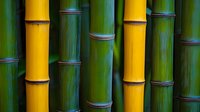 Fresh bamboo stalks in vibrant yellow and green colors create natural pattern background with distinctive nodes and segments for zen and spa designs.