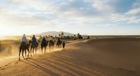 Camel caravan silhouettes crossing golden sand dunes at sunset in desert landscape with dramatic sky and long shadows creating adventure travel scene.