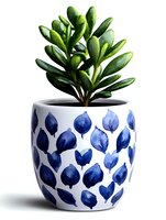 Succulent plant in white ceramic pot decorated with blue watercolor leaf pattern, isolated on white background for home decor and interior design projects.