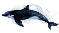 Celestial dolphin silhouette with constellation pattern, stars and flowing ethereal elements in navy blue and gold on white background, watercolor style artwork.