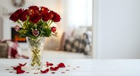 Fresh red roses in crystal vase on white table with scattered petals, romantic home decor for Valentine's Day, anniversary celebrations and special occasions.